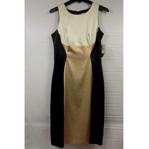 J. Taylor Dresses & Skirts - J. Taylor Sleeveless Modern Social Dress Sz 6 NWT